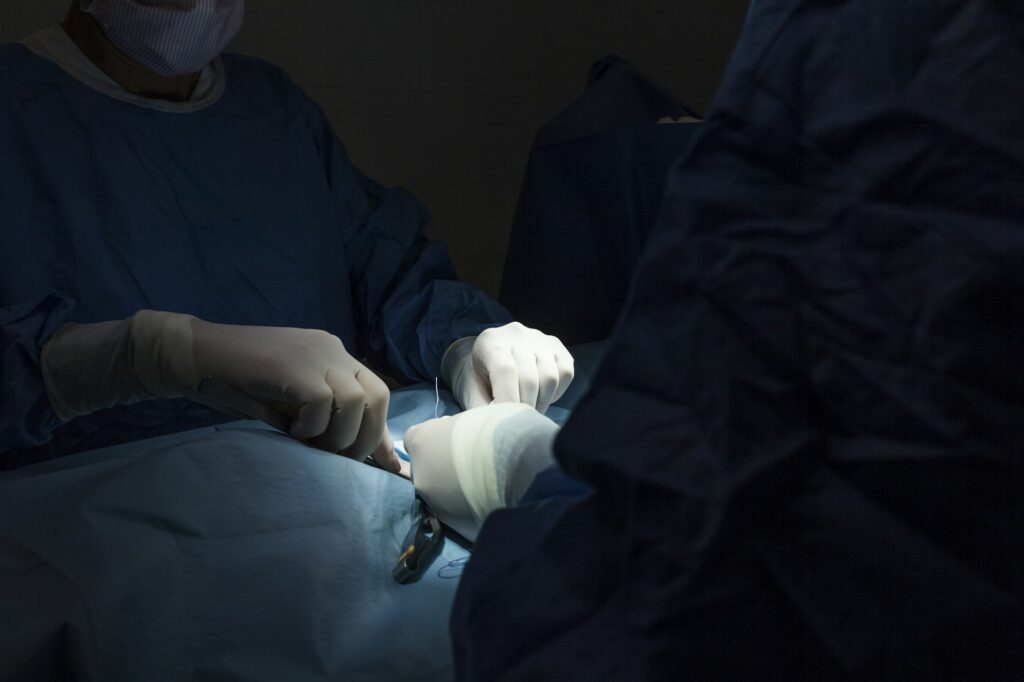 surgery room of the veterinary clinic